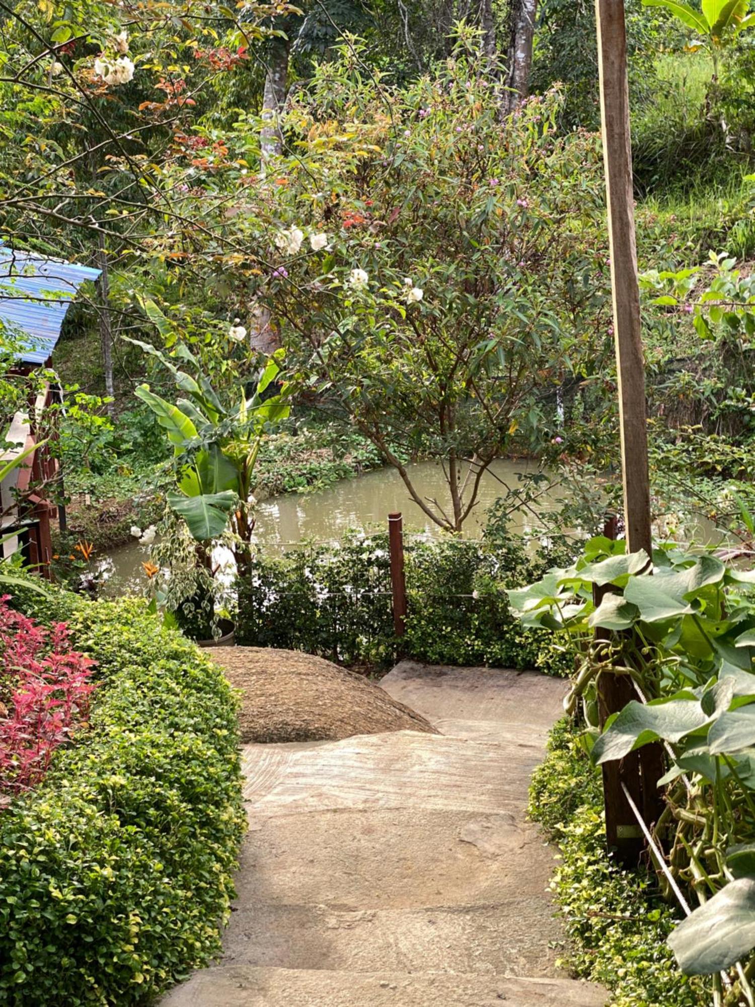 Da Family Mini Garden Hotel Ранау Екстериор снимка